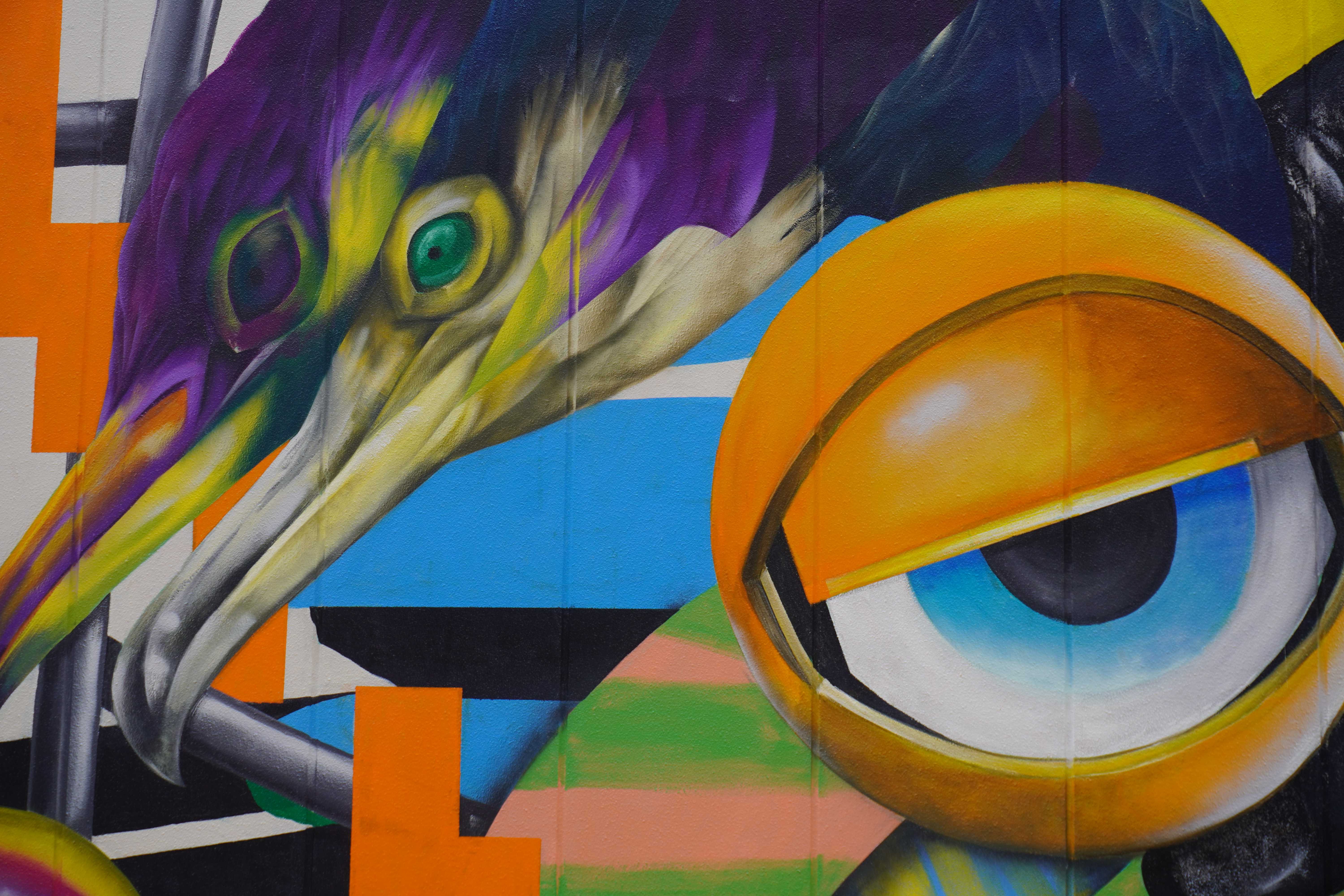 Vivid graffiti of a stork and large eyeball on a wall in Tokyo.