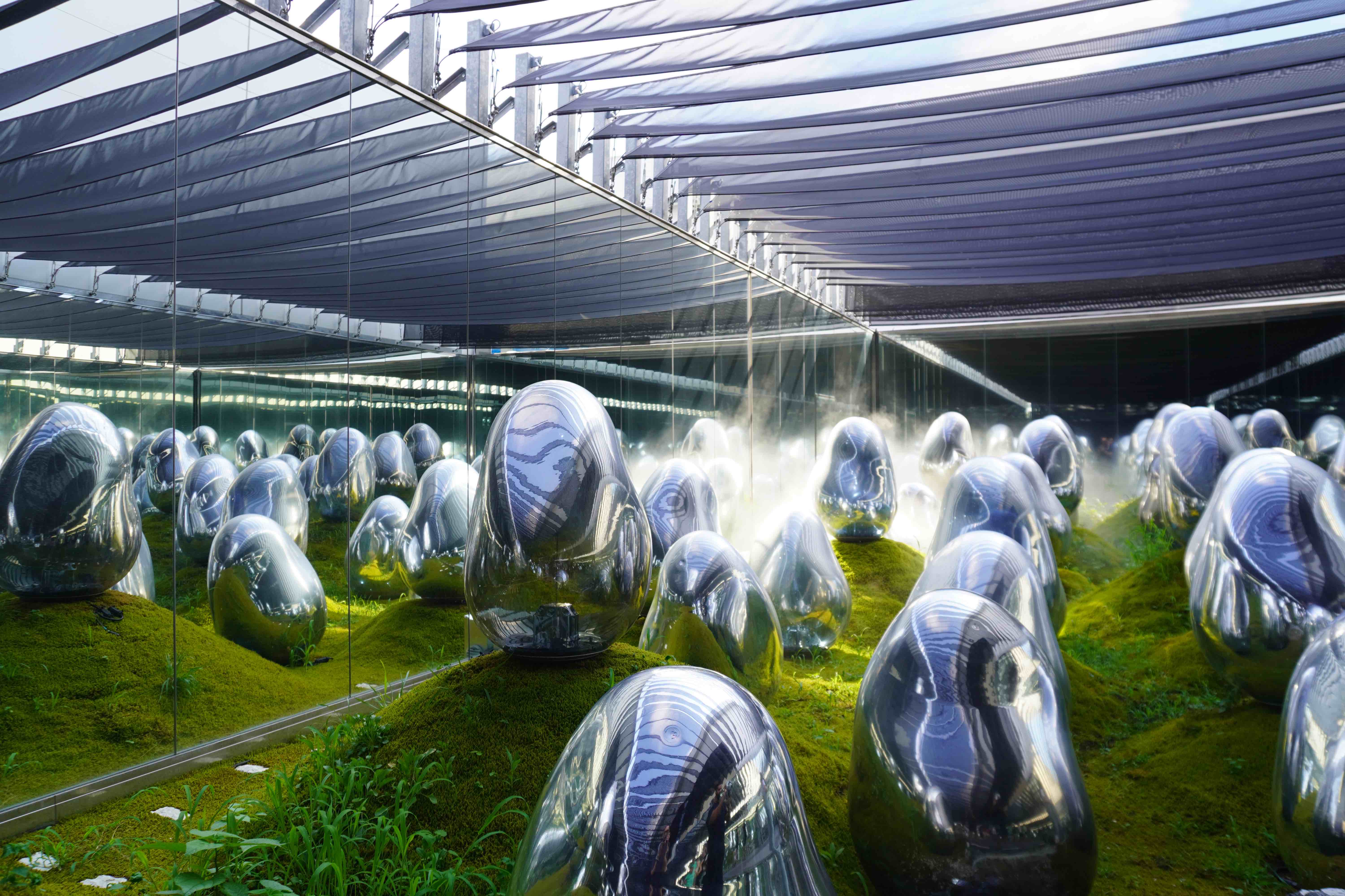 An immersive exhibit at teamLabs, Tokyo, Japan.