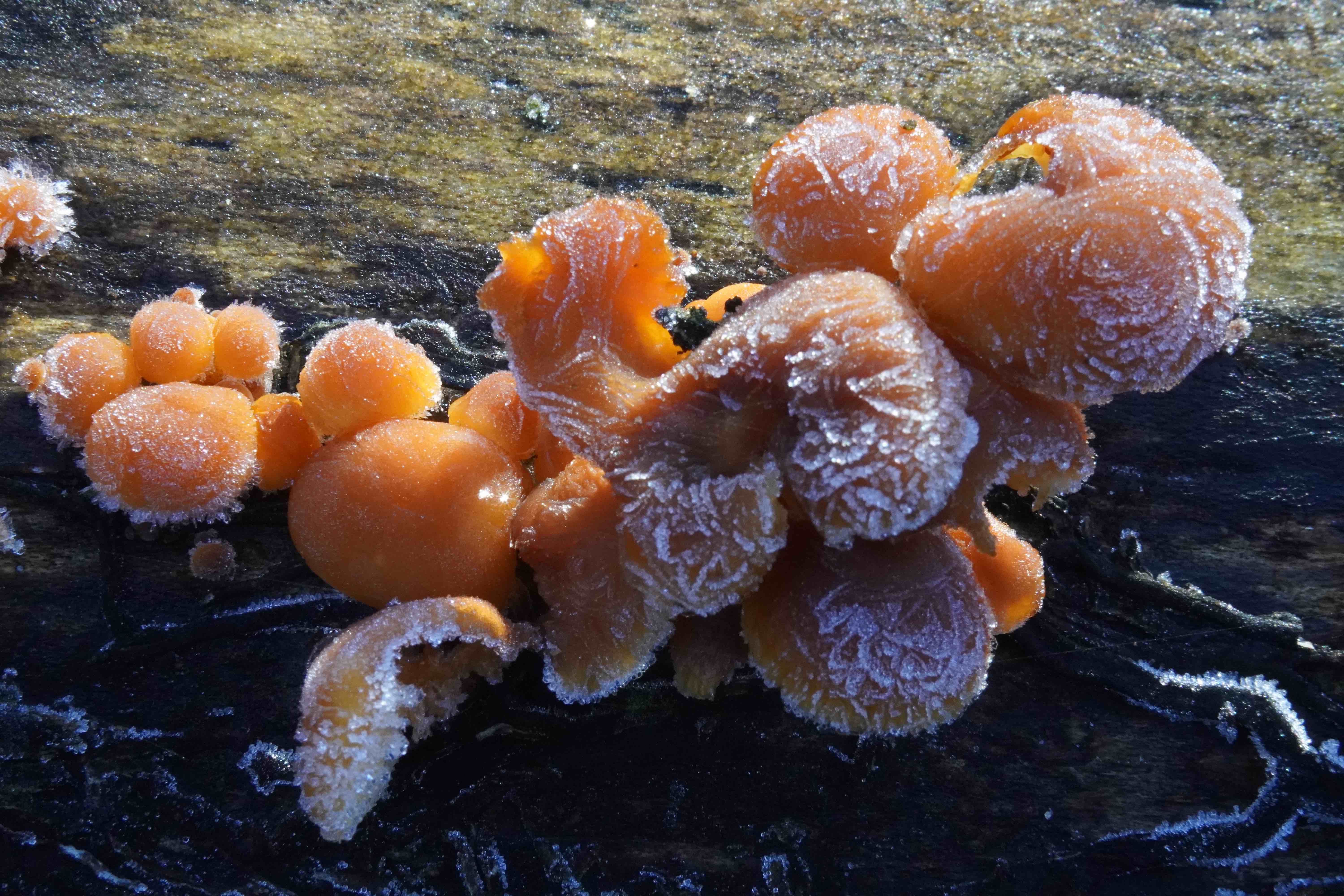 A boat on the Kanda river at night.