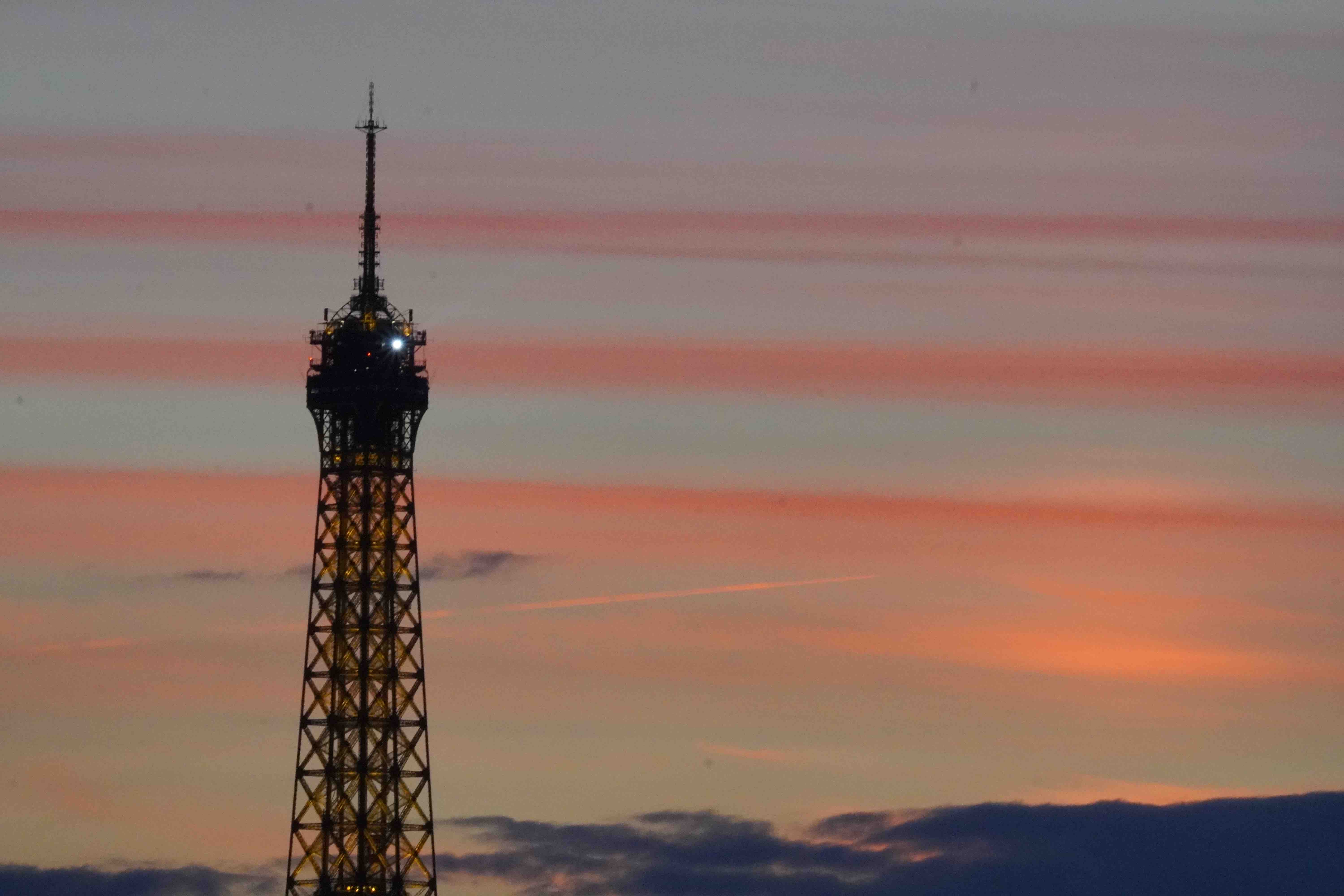 An immersive exhibit at teamLabs.