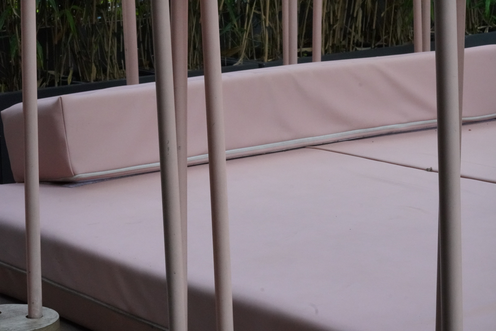 Pink bed.